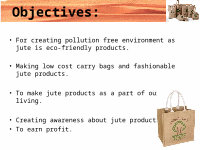 Page 2: business plan of jute bag