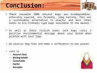Page 25: business plan of jute bag