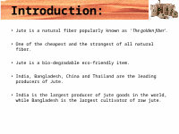 Page 4: business plan of jute bag
